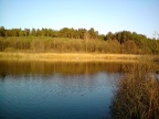 Jrzioro Żabie