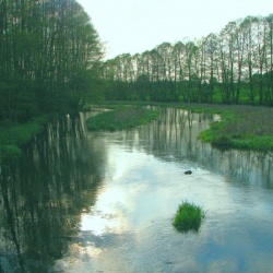Rzeka Dobrzyca