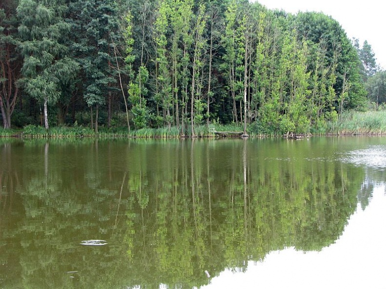 jezioro-lachotka-10-rg.jpg