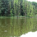jezioro-lachotka-10-rg.jpg