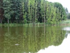Jezioro Lachotka