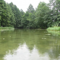 Rzeka Rurzyca