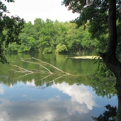 Jezioro Dobrzyckie