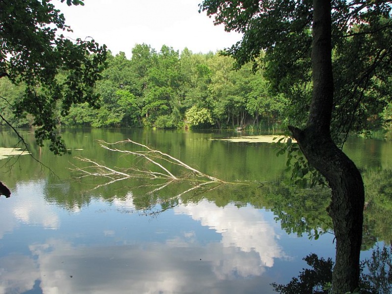jezioro-dobrzyckie-rg1