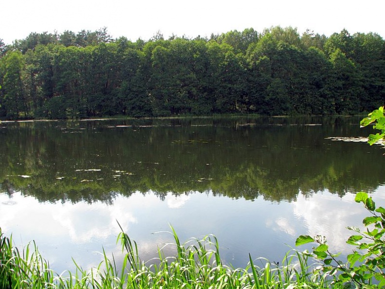 jezioro-dobrzyckie-rg4