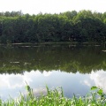 jezioro-dobrzyckie-rg4.jpg