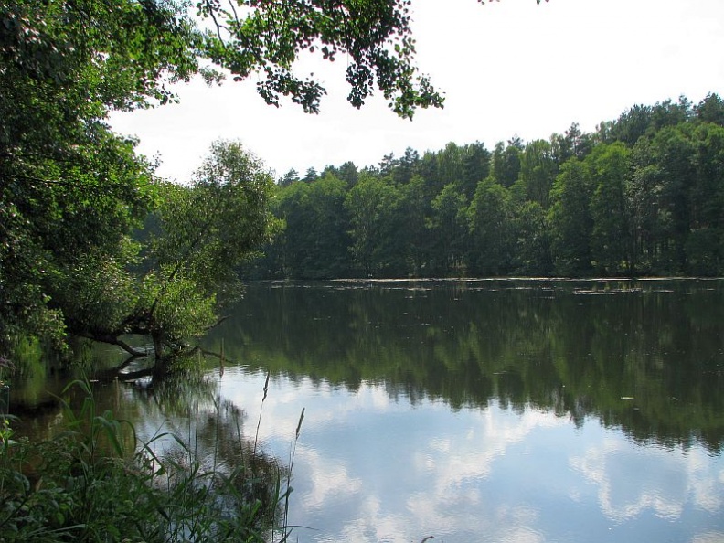 jezioro-dobrzyckie-rg5.jpg