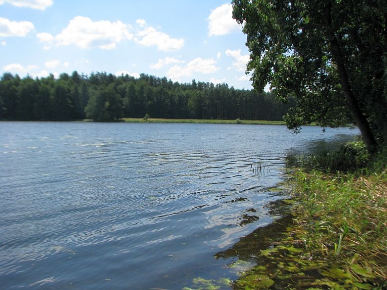 jezioro-ptuszowskie-rg4.jpg