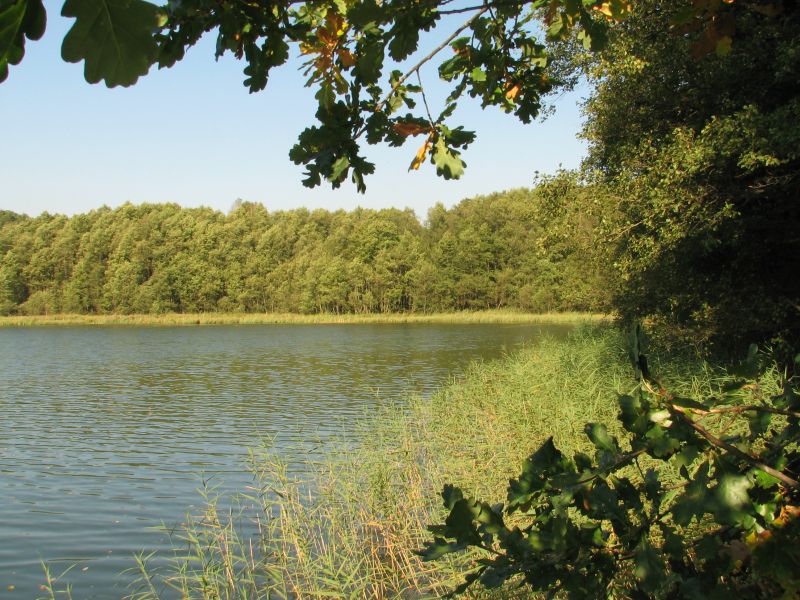 Jezioro Trzebieszki