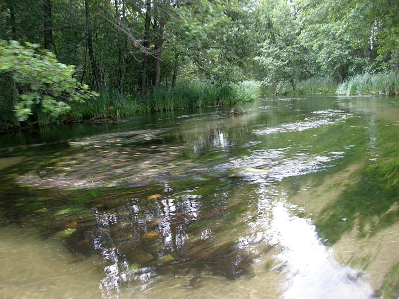 Rzeka Rurzyca