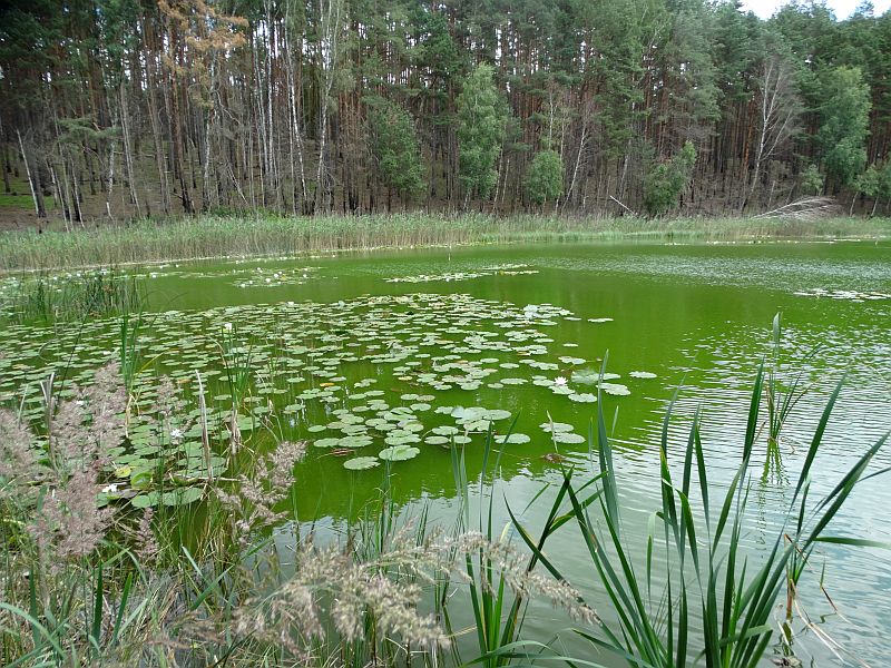 Jezioro Okoniowe